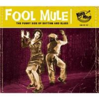 Affiche du document Fool Mule