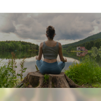 Affiche du document Yoga Hatha Flow au fil des saisons