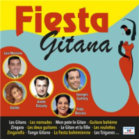 Affiche du document Fiesta Gitana