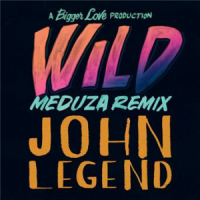 Affiche du document Wild (MEDUZA Remix)