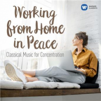 Affiche du document Working from Home in Peace: Classical Tunes for Concentration