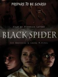 Affiche du document Black spider