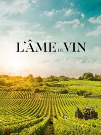 Affiche du document L'âme du vin