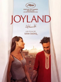 Affiche du document Joyland