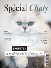 Affiche du document Spécial chats