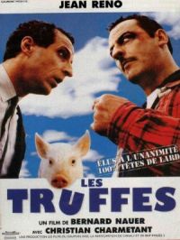 Affiche du document Les truffes