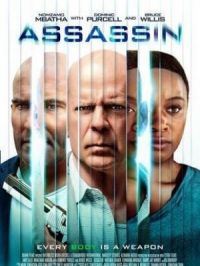 Affiche du document Assassin