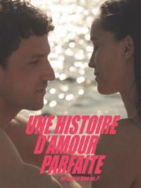 Affiche du document Une histoire d'amour parfaite où tout va bien ou...?