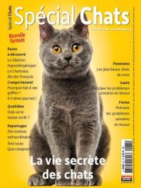 Affiche du document Spécial chats