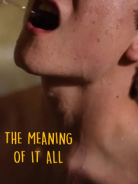 Affiche du document The meaning of it all