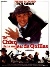 Affiche du document Un chien dans un jeu de quilles