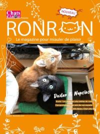 Affiche du document Chats d'Amour