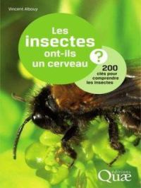 Les insectes ont-ils un cerveau ? | Vincent Albouy. Auteur