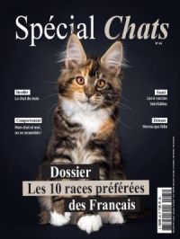 Affiche du document Spécial chats