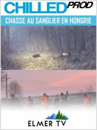 Affiche du document Chasse au sanglier en Hongrie