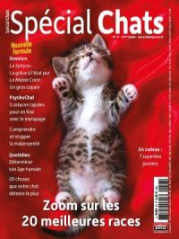 Affiche du document Spécial chats