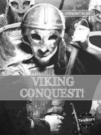 Affiche du document Viking Conquest!