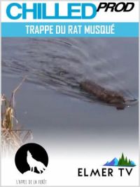 Affiche du document Trappe du rat musqué