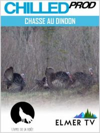 Affiche du document Chasse au dindon