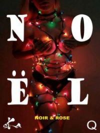 Noël Noir et Rose 2023 | Recueil Collectif. Auteur