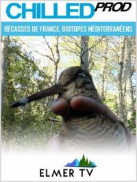 Bécasses de France, biotopes méditerranéens | Bruno Mounier. Réalisateur