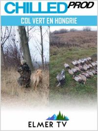 Affiche du document Col vert en Hongrie