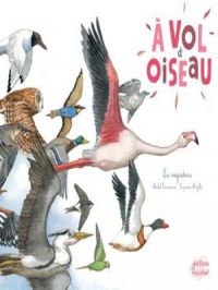 Affiche du document À vol d'oiseau