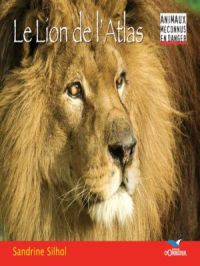 Affiche du document Le Lion de l'Atlas