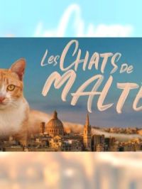 le chat au chapeau sally walden