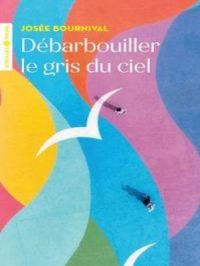 Affiche de l'album Débarbouiller le gris du ciel