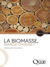 La biomasse, énergie d’avenir ? | Paul Mathis. Auteur