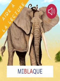 Affiche du document Miblaque - Livre adapté