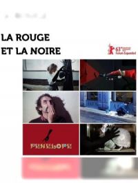 Affiche du document Le rouge et la noire