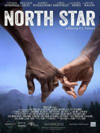 Affiche du document North star