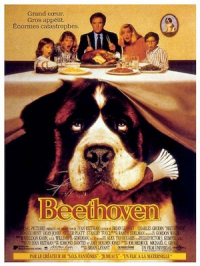 Affiche du document Beethoven