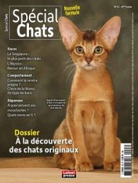 Affiche du document Spécial chats