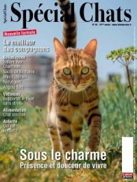 Affiche du document Spécial chats