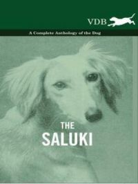 Affiche du document The Saluki - A Complete Anthology of the Dog