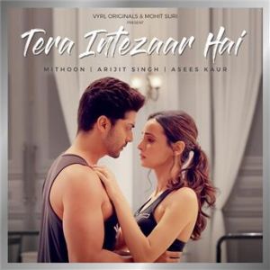 Affiche du document Tera Intezaar Hai