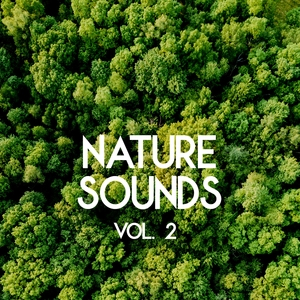 Affiche du document Nature Sounds - Sleep and Relaxation, Vol. 2