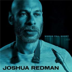 Affiche du document Words Fall Short