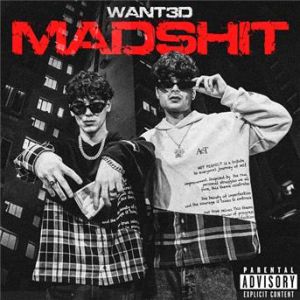 Affiche du document MAD SHIT