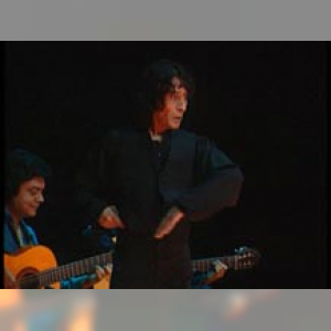 Affiche du document L'Andalousie, musiques traditionnelles, musiques gitanes. Flamenco soy