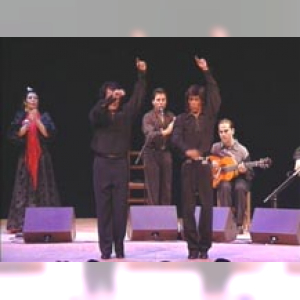 Affiche du document Flamenco à la cité. Angelita Vargas et Juan Carmona