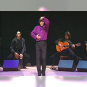 Affiche du document Flamenco à la cité. Soirée Canales - La Tani