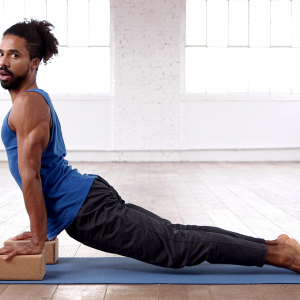 Affiche du document Tutoriel : alignement Chaturanga