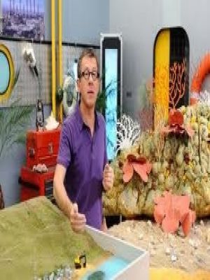 C'est pas sorcier - De la plage aux abysses