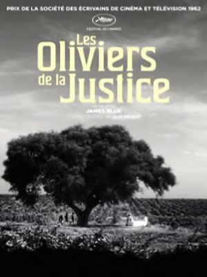 Affiche du document Les oliviers de la justice