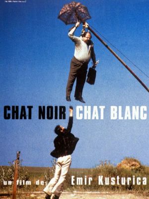 Affiche du document Chat noir, chat blanc