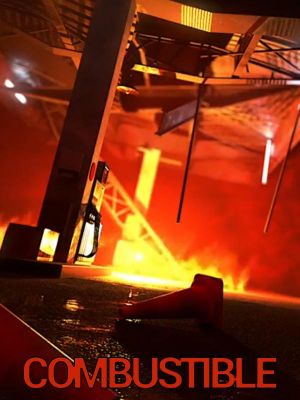 Affiche du document Combustible